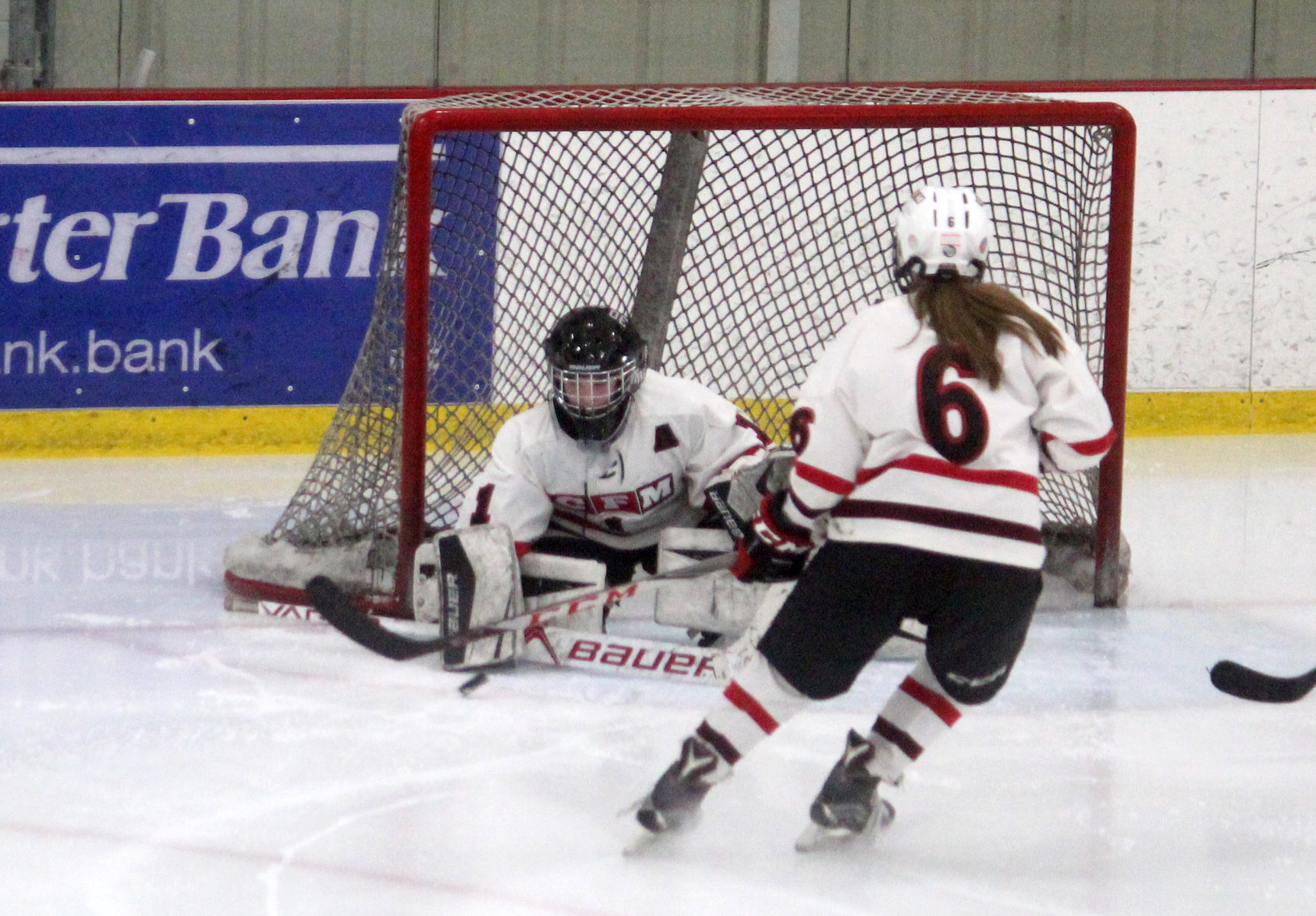 St. Croix Valley at Chi-Hi/Menomonie girls hockey 1-24-19